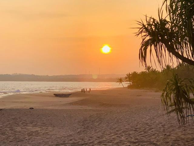 Mangrove Beach Cabana Тангале Екстериор снимка