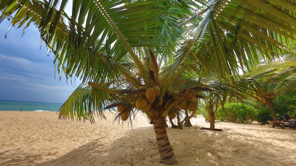 Mangrove Beach Cabana Тангале Екстериор снимка