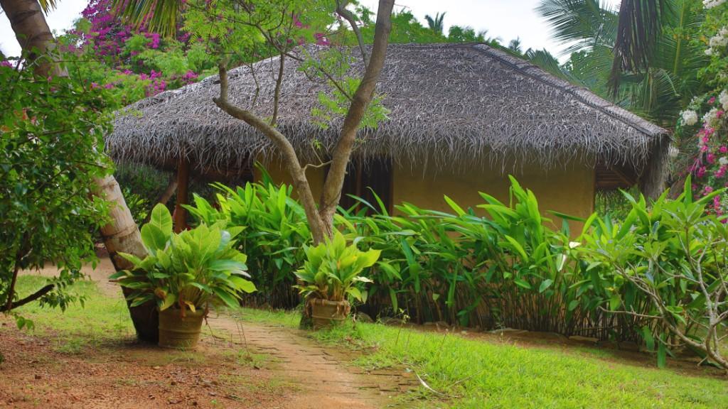 Mangrove Beach Cabana Тангале Екстериор снимка