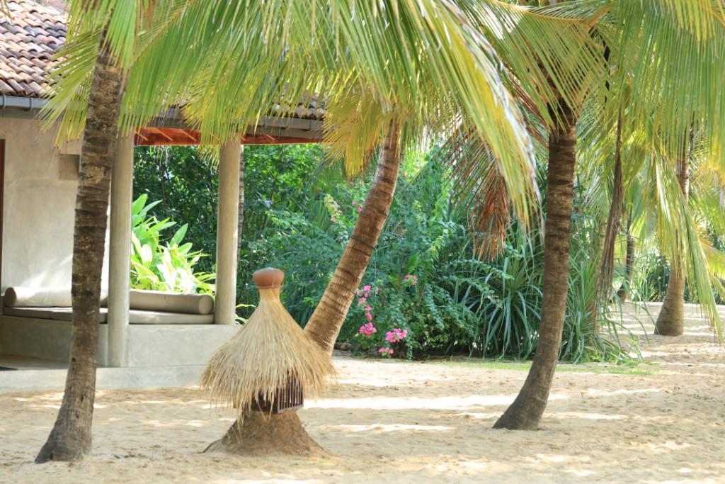 Mangrove Beach Cabana Тангале Екстериор снимка
