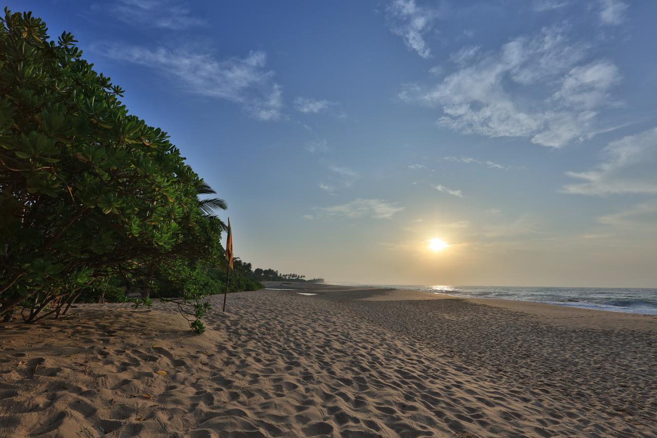 Mangrove Beach Cabana Тангале Екстериор снимка