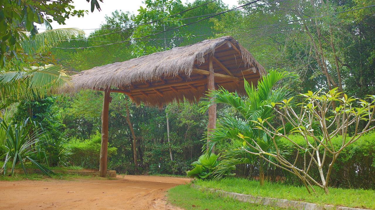 Mangrove Beach Cabana Тангале Екстериор снимка